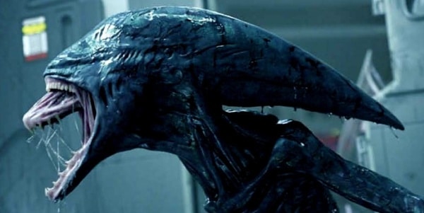 profil du monstre extra-terrestre, l'alien.